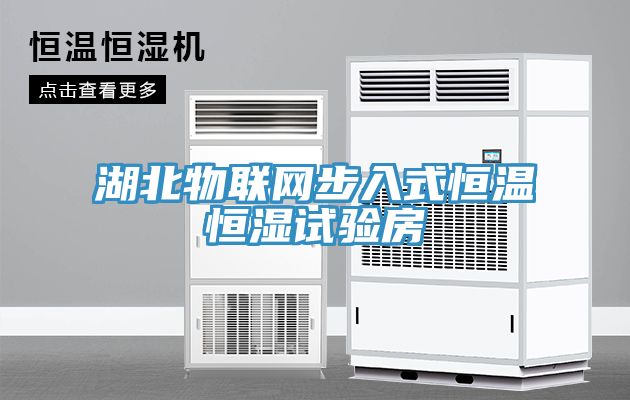 亚洲欧美一级特黄大片 湖北物联网步入式恒温恒湿试验房