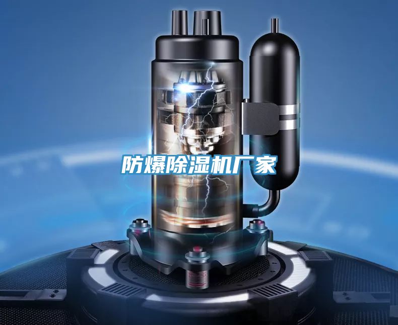 亚洲人成综合第一网站 防爆除湿机厂家