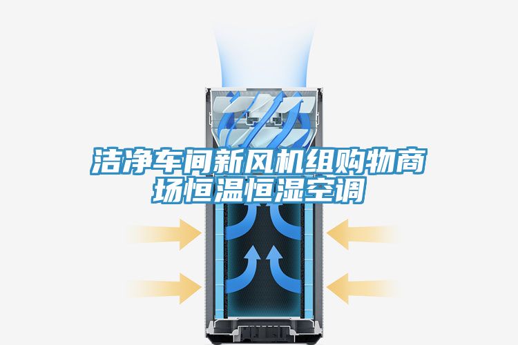 亚洲欧美一级特黄大片 洁净车间新风机组购物商场恒温恒湿空调