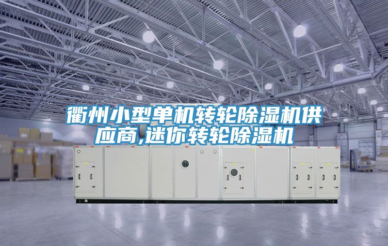 亚洲乱码一区二区三区 衢州小型单机转轮除湿机供应商,迷你转轮除湿机