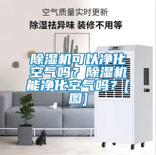 亚洲乱码一区二区三区 除湿机可以净化空气吗？除湿机能净化空气吗？[图]