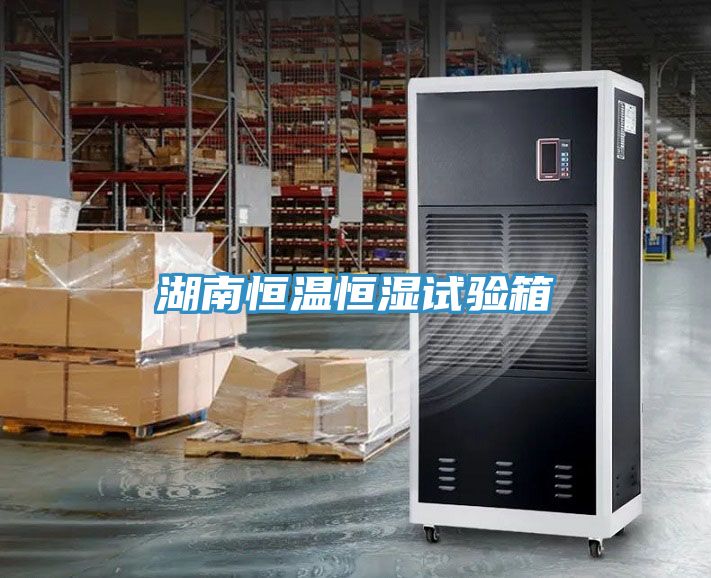 亚洲人成综合第一网站 湖南恒温恒湿试验箱