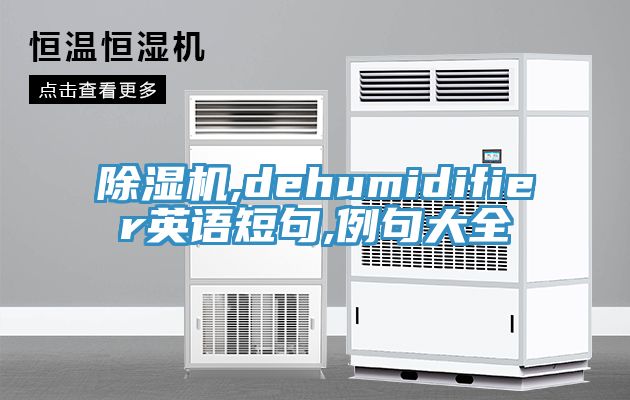 亚洲人成综合第一网站 除湿机,dehumidifier英语短句,例句大全