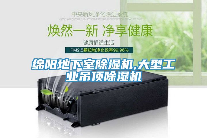 亚洲人成综合第一网站 绵阳地下室除湿机,大型工业吊顶除湿机