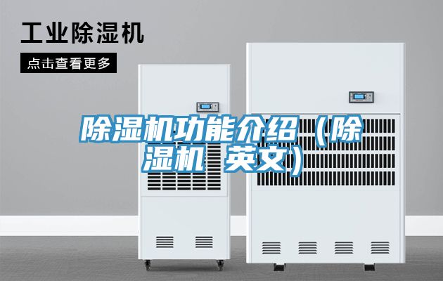 亚洲乱码一区二区三区 除湿机功能介绍（除湿机 英文）
