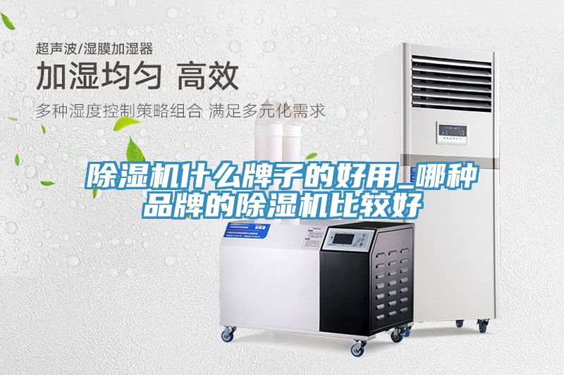 亚洲人成综合第一网站 除湿机什么牌子的好用_哪种品牌的除湿机比较好