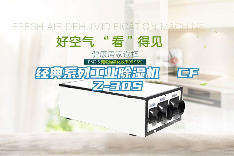 亚洲人成综合第一网站 经典系列工业除湿机  CFZ-30S