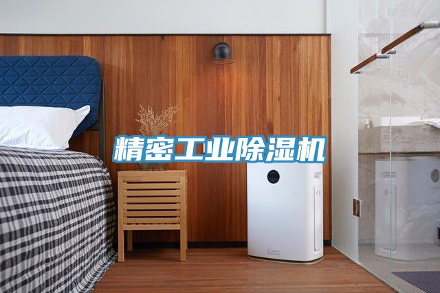 亚洲人成综合第一网站 精密工业除湿机