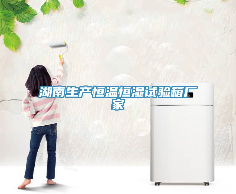 亚洲乱码一区二区三区 湖南生产恒温恒湿试验箱厂家