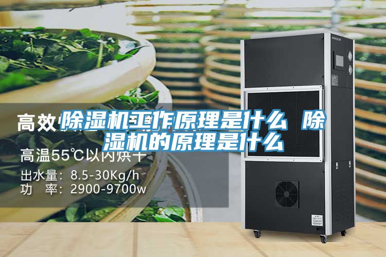亚洲乱码一区二区三区 除湿机工作原理是什么 除湿机的原理是什么