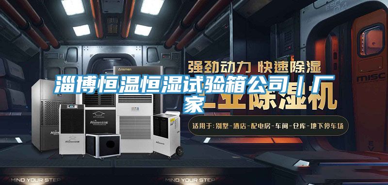 亚洲欧美一级特黄大片 淄博恒温恒湿试验箱公司｜厂家