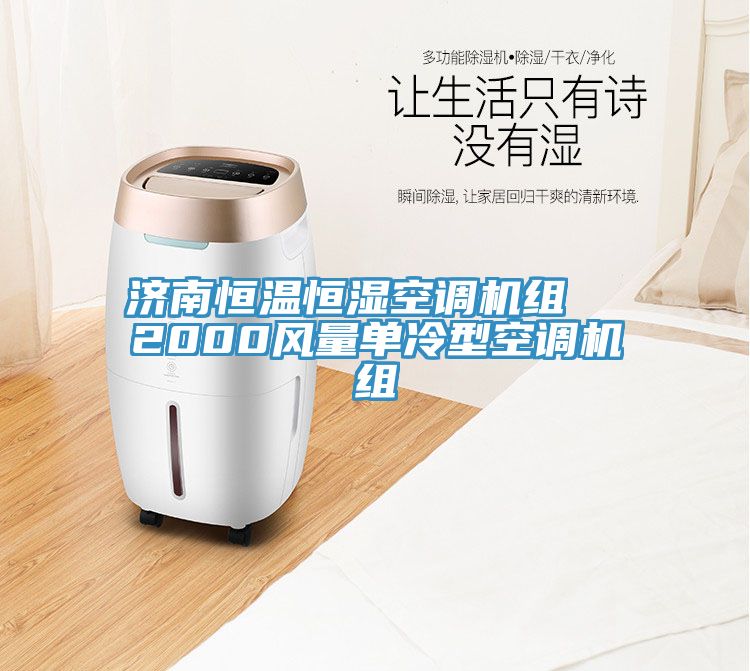 亚洲人成综合第一网站 济南恒温恒湿空调机组  2000风量单冷型空调机组