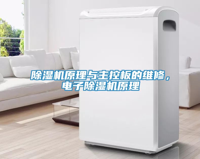 亚洲人成综合第一网站 除湿机原理与主控板的维修，电子除湿机原理