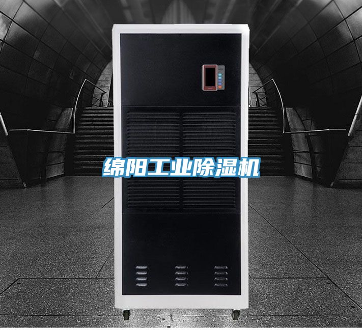 亚洲人成综合第一网站 绵阳工业除湿机