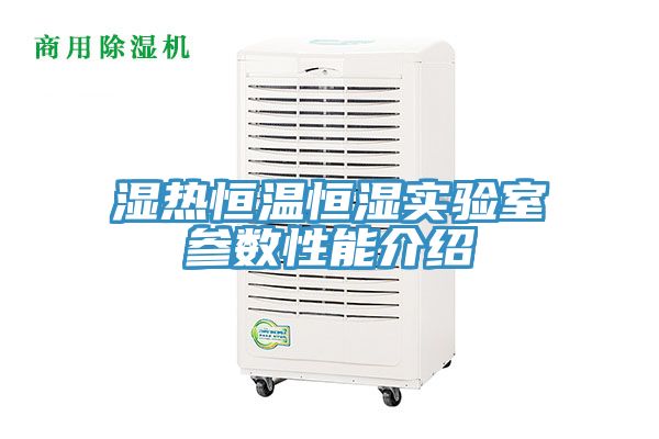 亚洲人成综合第一网站 湿热恒温恒湿实验室参数性能介绍