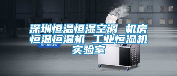 亚洲人成综合第一网站 深圳恒温恒湿空调 机房恒温恒湿机 工业恒湿机实验室