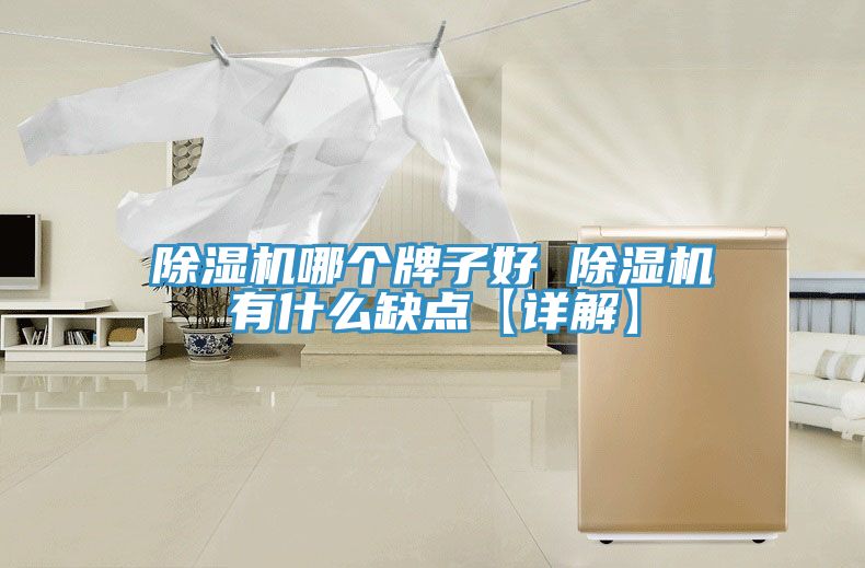 亚洲欧美一级特黄大片 除湿机哪个牌子好 除湿机有什么缺点【详解】