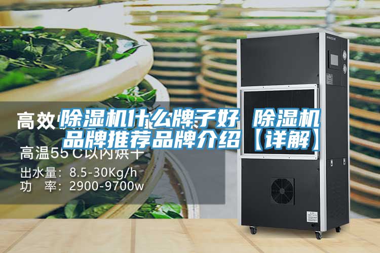 亚洲欧美一级特黄大片 除湿机什么牌子好 除湿机品牌推荐品牌介绍【详解】