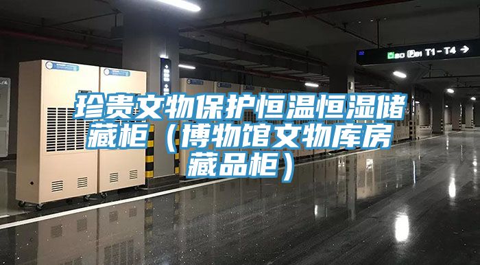 亚洲乱码一区二区三区 珍贵文物保护恒温恒湿储藏柜（博物馆文物库房藏品柜）