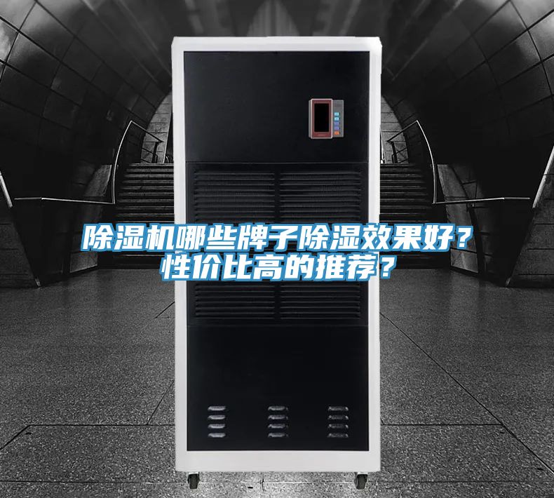 亚洲欧美一级特黄大片 除湿机哪些牌子除湿效果好？性价比高的推荐？