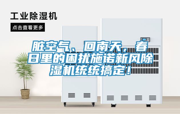亚洲乱码一区二区三区 脏空气、回南天，春日里的困扰施诺新风除湿机统统搞定！