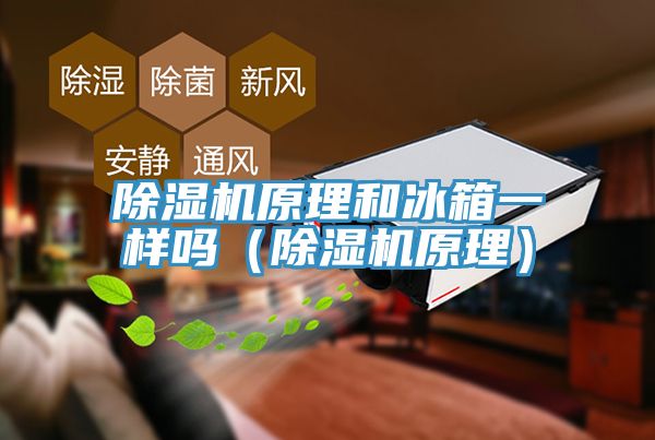 亚洲人成综合第一网站 除湿机原理和冰箱一样吗（除湿机原理）