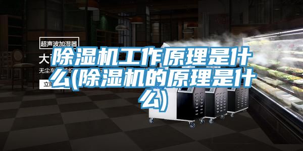 亚洲人成综合第一网站 除湿机工作原理是什么(除湿机的原理是什么)