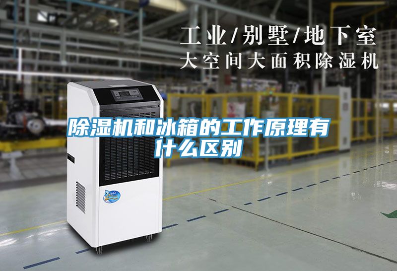 亚洲人成综合第一网站 除湿机和冰箱的工作原理有什么区别