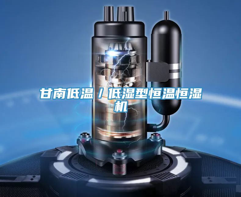 亚洲人成综合第一网站 甘南低温／低湿型恒温恒湿机