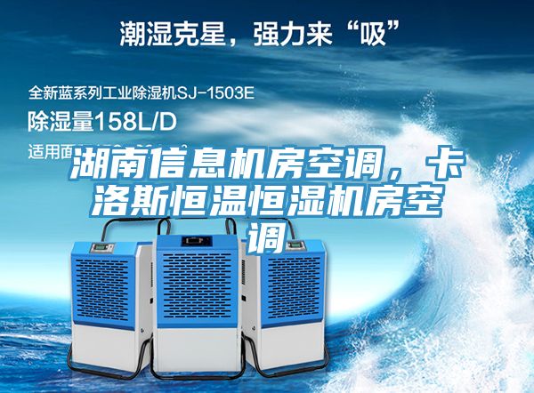亚洲欧美一级特黄大片 湖南信息机房空调，卡洛斯恒温恒湿机房空调