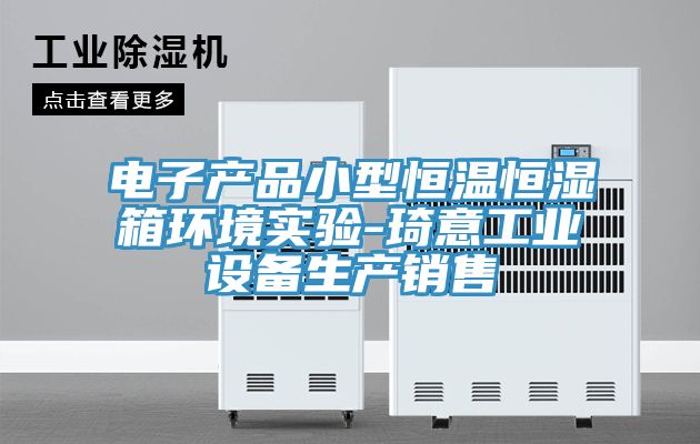 亚洲欧美一级特黄大片 电子产品小型恒温恒湿箱环境实验-琦意工业设备生产销售