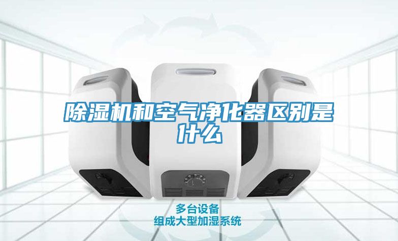 亚洲欧美一级特黄大片 除湿机和空气净化器区别是什么
