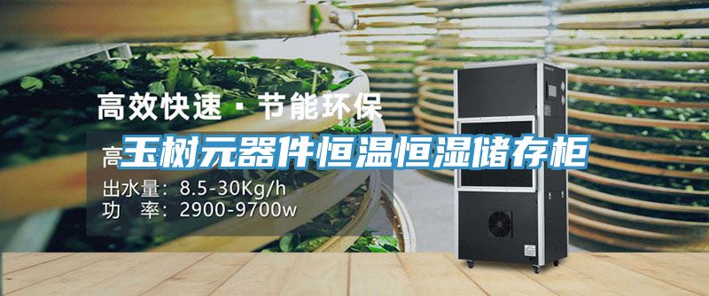 亚洲人成综合第一网站 玉树元器件恒温恒湿储存柜