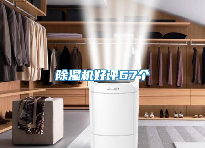 亚洲欧美一级特黄大片 除湿机好评67个