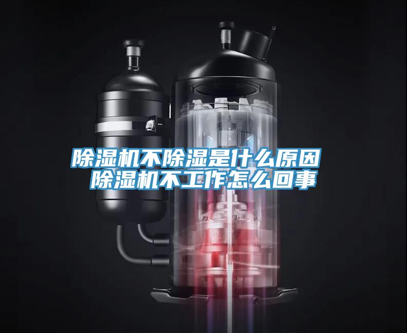 亚洲欧美一级特黄大片 除湿机不除湿是什么原因 除湿机不工作怎么回事