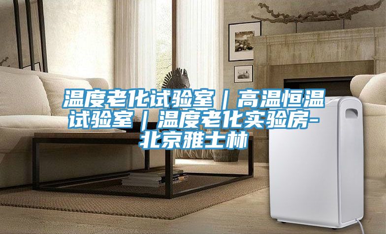 亚洲乱码一区二区三区 温度老化试验室｜高温恒温试验室｜温度老化实验房-北京雅士林