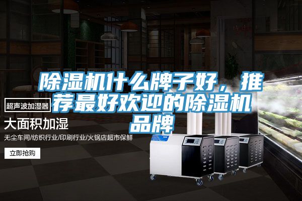 亚洲乱码一区二区三区 除湿机什么牌子好，推荐最好欢迎的除湿机品牌