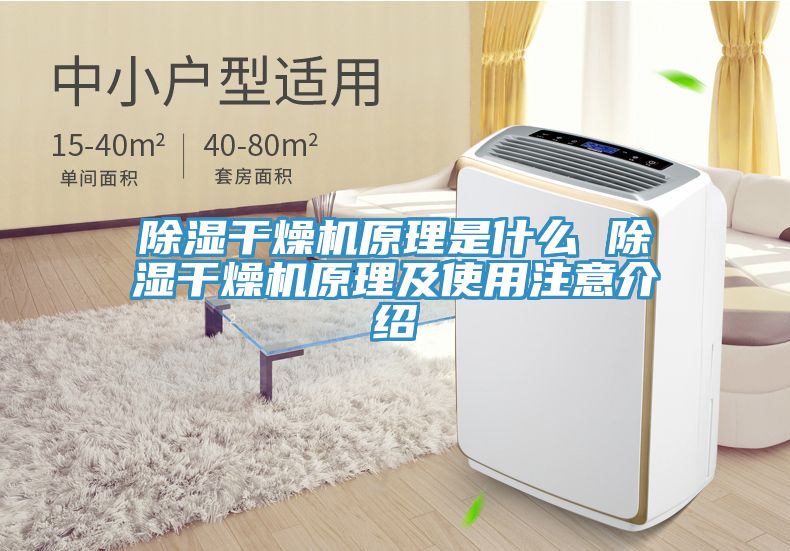 亚洲欧美一级特黄大片 除湿干燥机原理是什么 除湿干燥机原理及使用注意介绍