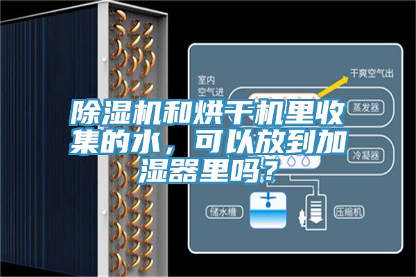 亚洲人成综合第一网站 除湿机和烘干机里收集的水，可以放到加湿器里吗？