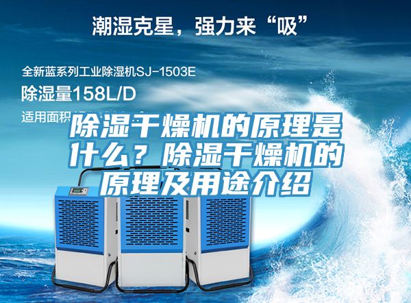 亚洲欧美一级特黄大片 除湿干燥机的原理是什么？除湿干燥机的原理及用途介绍