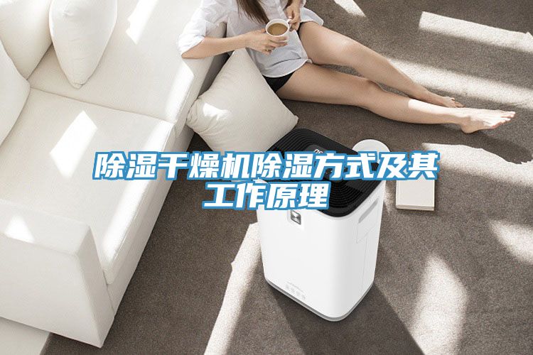 亚洲欧美一级特黄大片 除湿干燥机除湿方式及其工作原理