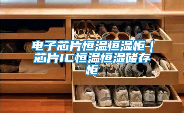 亚洲欧美一级特黄大片 电子芯片恒温恒湿柜｜芯片IC恒温恒湿储存柜