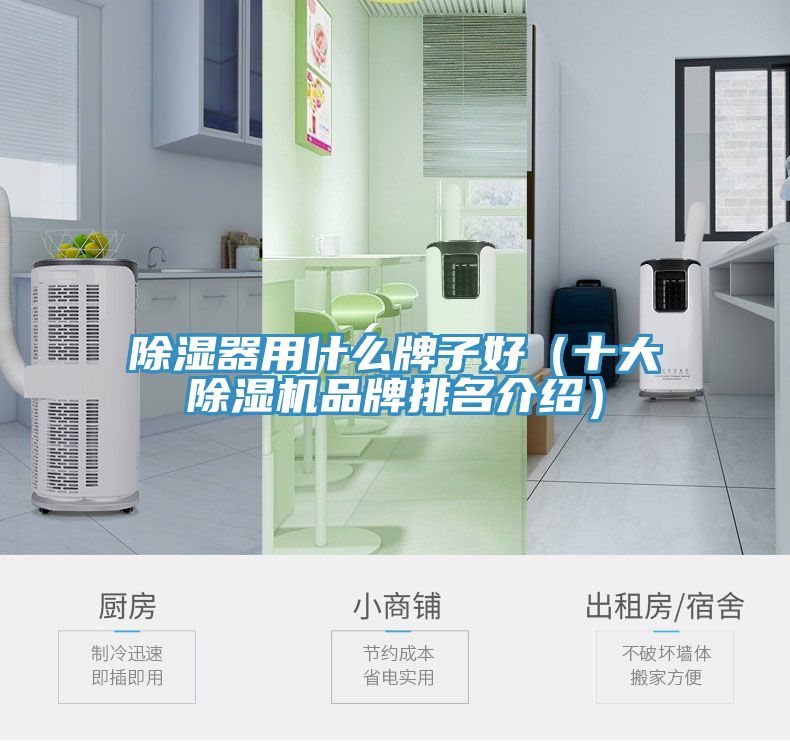 亚洲欧美一级特黄大片 除湿器用什么牌子好（十大除湿机品牌排名介绍）