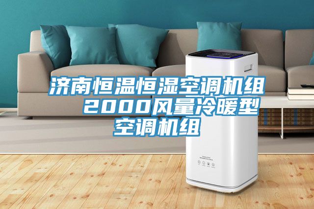 亚洲欧美一级特黄大片 济南恒温恒湿空调机组  2000风量冷暖型空调机组