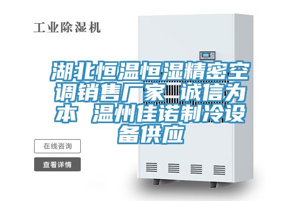 亚洲人成综合第一网站 湖北恒温恒湿精密空调销售厂家 诚信为本 温州佳诺制冷设备供应