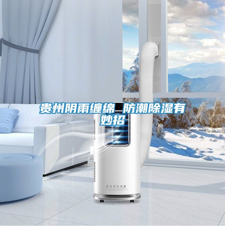 亚洲人成综合第一网站 贵州阴雨缠绵 防潮除湿有妙招