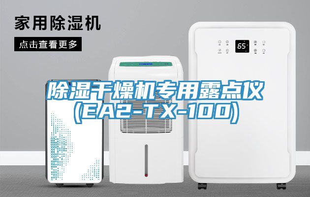 亚洲人成综合第一网站 除湿干燥机专用露点仪(EA2-TX-100)