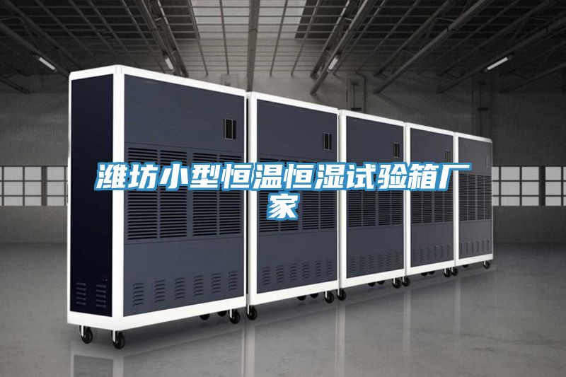 亚洲乱码一区二区三区 潍坊小型恒温恒湿试验箱厂家