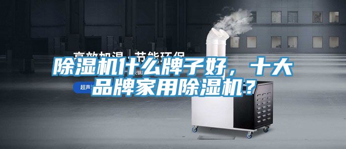 亚洲欧美一级特黄大片 除湿机什么牌子好，十大品牌家用除湿机？