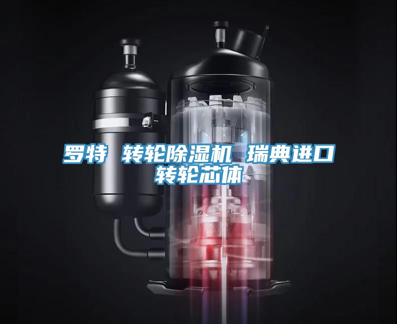 亚洲人成综合第一网站 罗特 转轮除湿机 瑞典进口转轮芯体